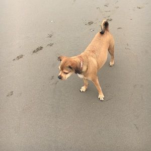 Meet your Posher, Kristy